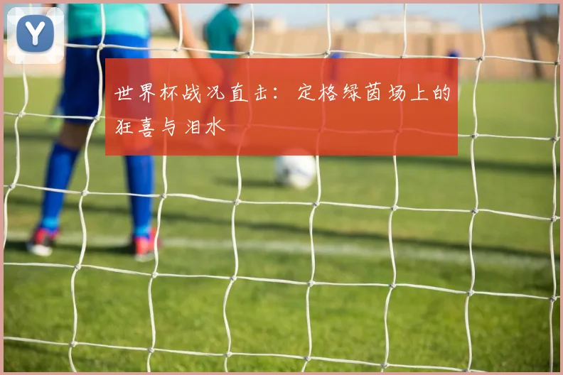 世界杯战况直击：定格绿茵场上的狂喜与泪水