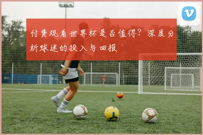 付费观看世界杯是否值得？深度分析球迷的投入与回报