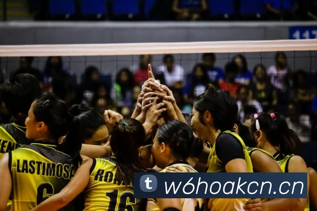 星空体育官网在线登陆平台生态图